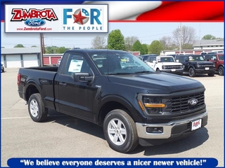 2024 Ford F-150 for sale in Zumbrota MN