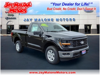 2025 Ford F-150 for sale in Hutchinson MN