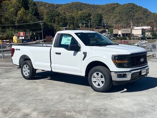 2025 Ford F-150 for sale in Waynesville NC