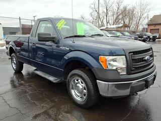 2014 Ford F-150 for sale in Belvidere IL