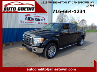 2009 Ford F-150 for sale in Jamestown NY