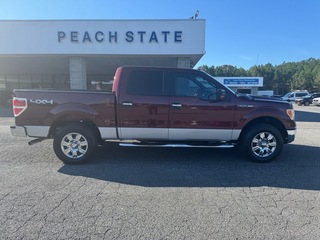 2009 Ford F-150 for sale in Cedartown GA