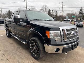 2009 Ford F-150 for sale in Waterville OH