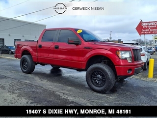 2009 Ford F-150 for sale in Monroe MI