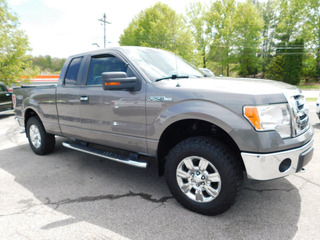 2009 Ford F-150 for sale in Clarksville TN