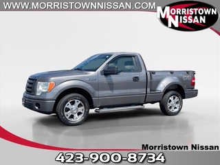 2009 Ford F-150 for sale in Morristown TN