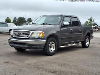 2002 Ford F-150 for sale in Chelsea MI