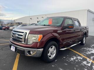 2009 Ford F-150 for sale in Salem OH