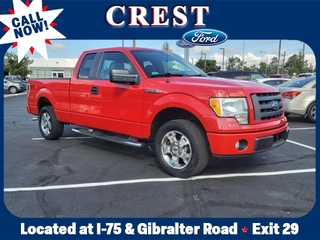 2009 Ford F-150 for sale in Flat Rock MI