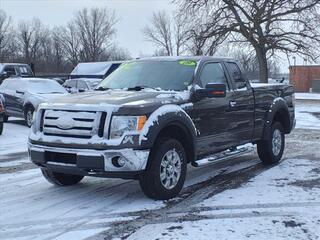 2009 Ford F-150 for sale in Woodhaven MI