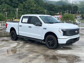 2025 Ford F-150 Lightning for sale in Waynesville NC