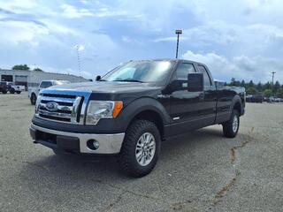 2012 Ford F-150 for sale in Saline MI