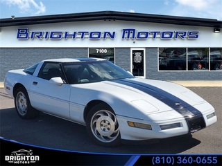 1996 Chevrolet Corvette for sale in Chelsea MI