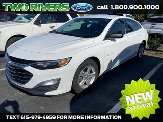 2019 Chevrolet Malibu for sale in Mt. Juliet TN