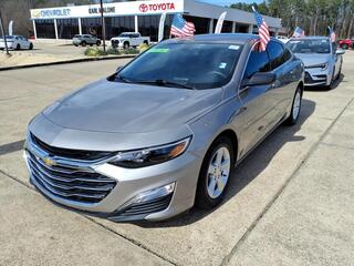 2022 Chevrolet Malibu for sale in Muskegon MI
