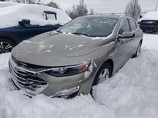 2023 Chevrolet Malibu for sale in Cincinnati OH