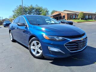 2019 Chevrolet Malibu for sale in Clarksville TN