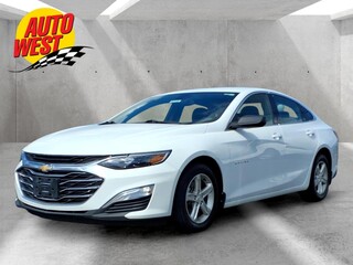 2021 Chevrolet Malibu for sale in Grand Rapids MI
