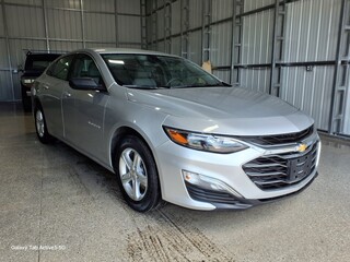 2019 Chevrolet Malibu for sale in Nashville TN