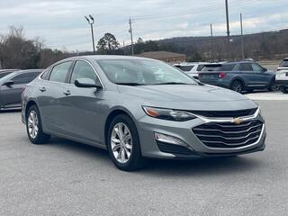 2023 Chevrolet Malibu for sale in Knoxville TN