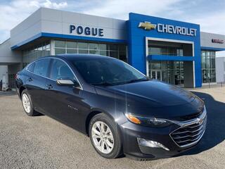 2023 Chevrolet Malibu for sale in Powderly KY