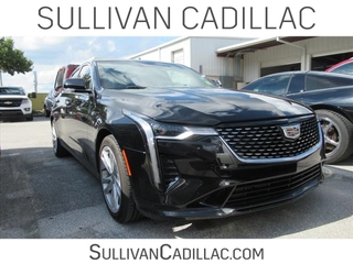 2021 Cadillac CT4 for sale in Ocala FL