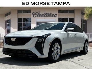 2025 Cadillac CT5 for sale in Tampa FL