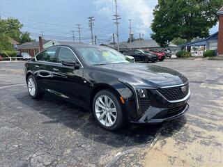 2025 Cadillac CT5 for sale in Columbiana OH