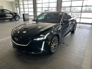 2021 Cadillac CT5 for sale in Plymouth MI