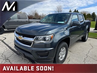 2019 Chevrolet Colorado for sale in Plymouth WI