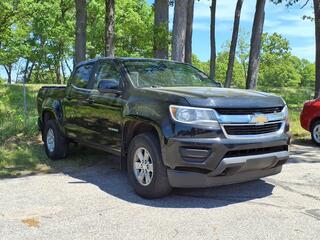 2019 Chevrolet Colorado for sale in Whitehall MI