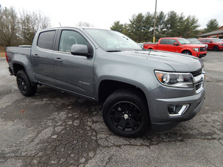 2019 Chevrolet Colorado for sale in Clarksville TN