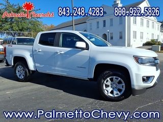 2019 Chevrolet Colorado for sale in Winchester VA