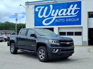 2017 Chevrolet Colorado for sale in Whitehall MI