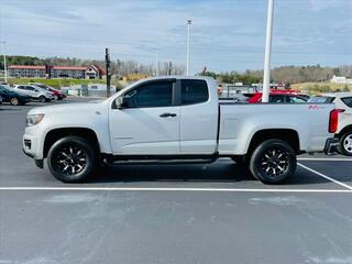 2019 Chevrolet Colorado for sale in Kodak TN