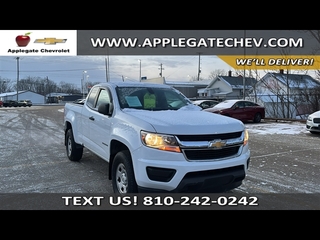 2019 Chevrolet Colorado for sale in Flint MI