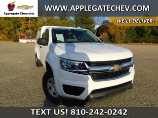 2020 Chevrolet Colorado for sale in Flint MI