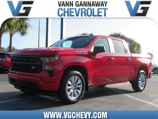 2022 Chevrolet Silverado 1500 for sale in Eustis FL