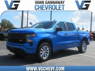 2025 Chevrolet Silverado 1500 for sale in Eustis FL