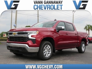 2024 Chevrolet Silverado 1500 for sale in Eustis FL