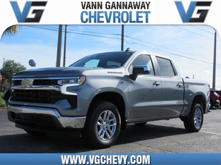 2025 Chevrolet Silverado 1500 for sale in Eustis FL