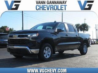 2024 Chevrolet Silverado 1500 for sale in Eustis FL