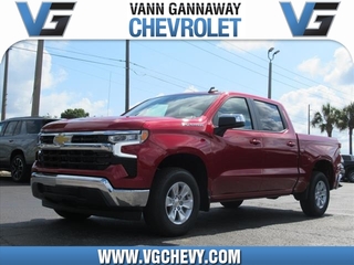 2024 Chevrolet Silverado 1500 for sale in Eustis FL