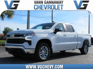 2025 Chevrolet Silverado 1500 for sale in Eustis FL