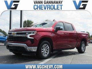 2023 Chevrolet Silverado 1500 for sale in Eustis FL