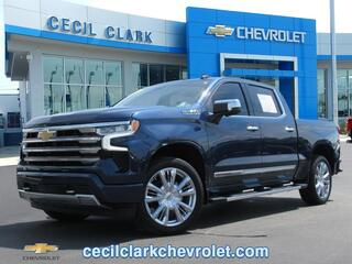 2022 Chevrolet Silverado 1500 for sale in Leesburg FL