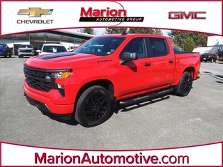 2024 Chevrolet Silverado 1500 for sale in Marion VA