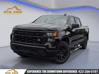 2022 Chevrolet Silverado 1500 for sale in Chattanooga TN