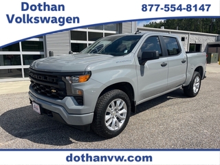2024 Chevrolet Silverado 1500 for sale in Dothan AL