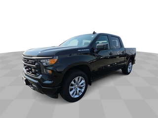 2022 Chevrolet Silverado 1500 for sale in Bradley IL
